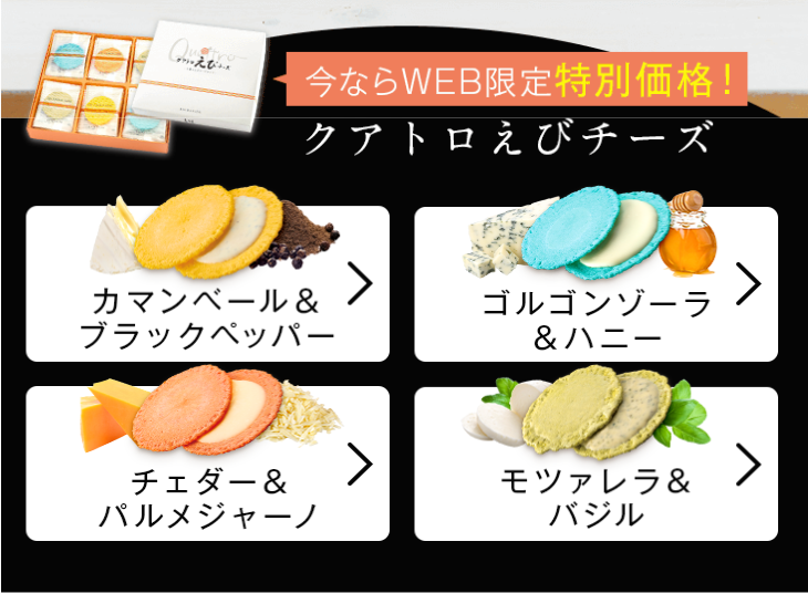 今ならWEB限定特別価格