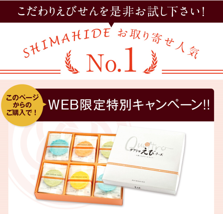 WEB限定特別キャンペーン