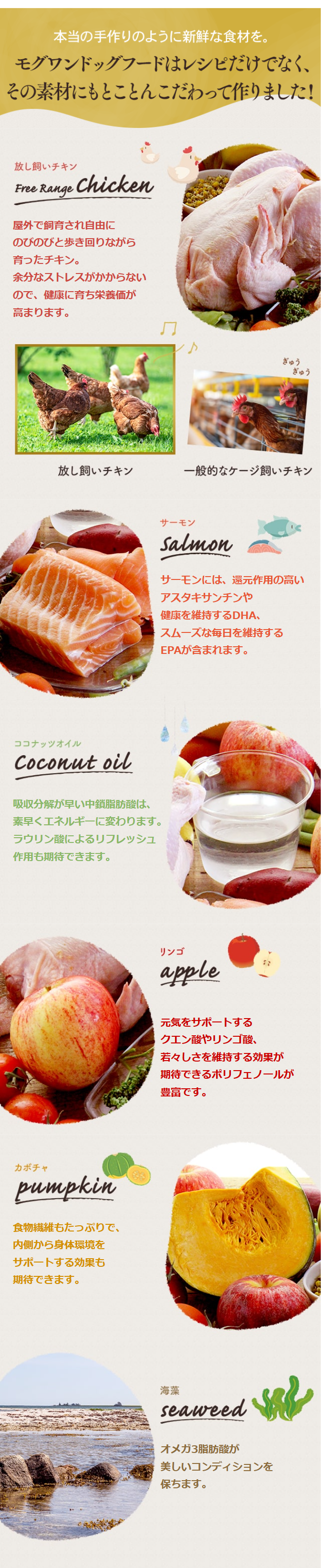 本当の手作りのように新鮮な食材を。