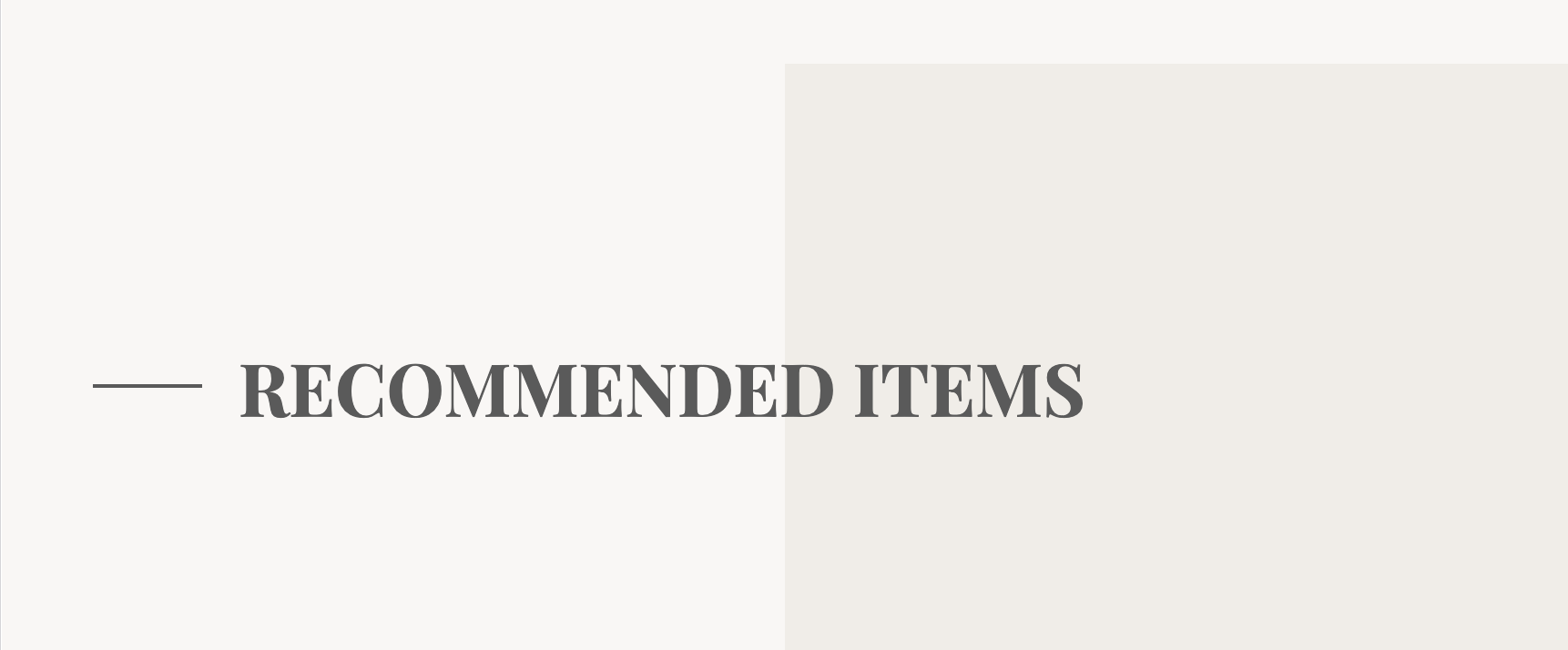 RECOMMENDED ITEMS
