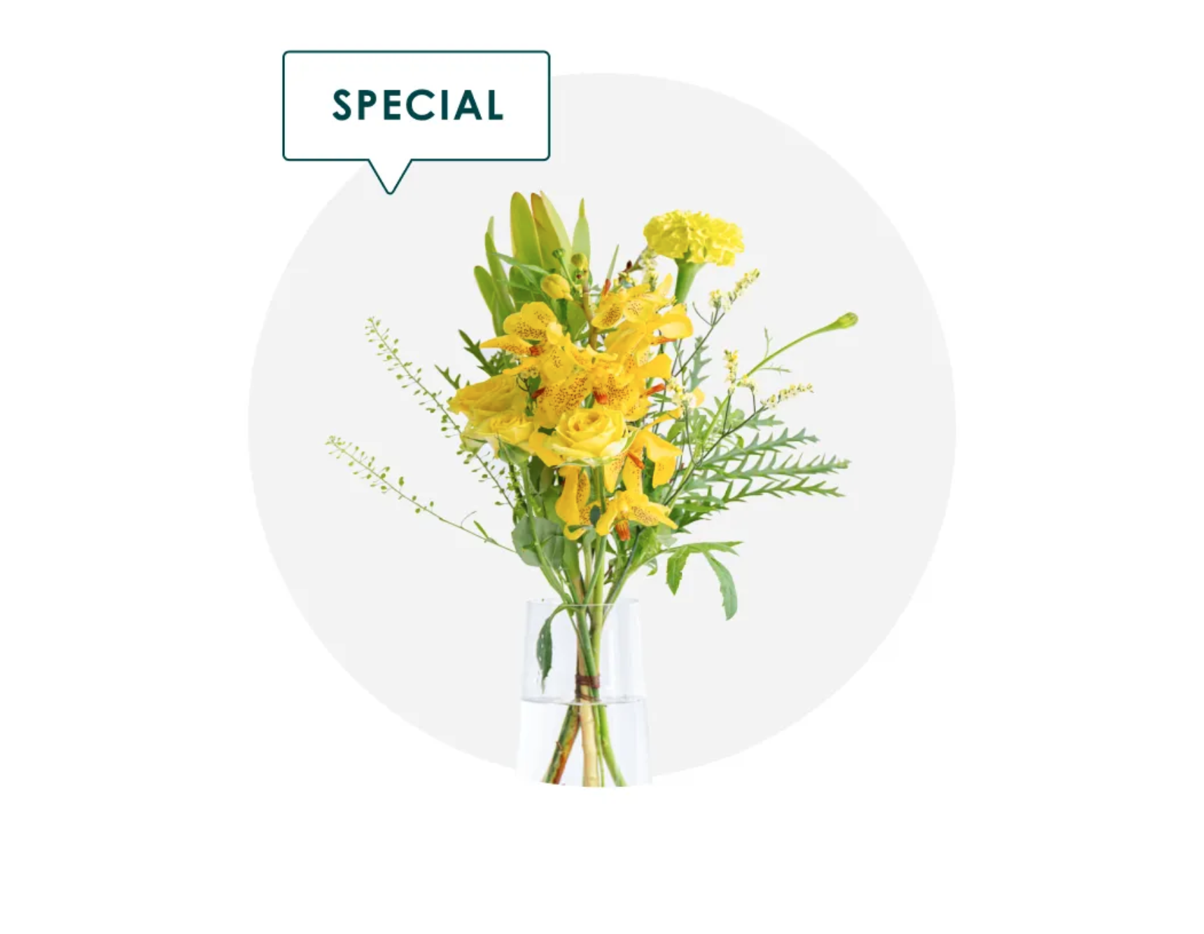 SPECIAL