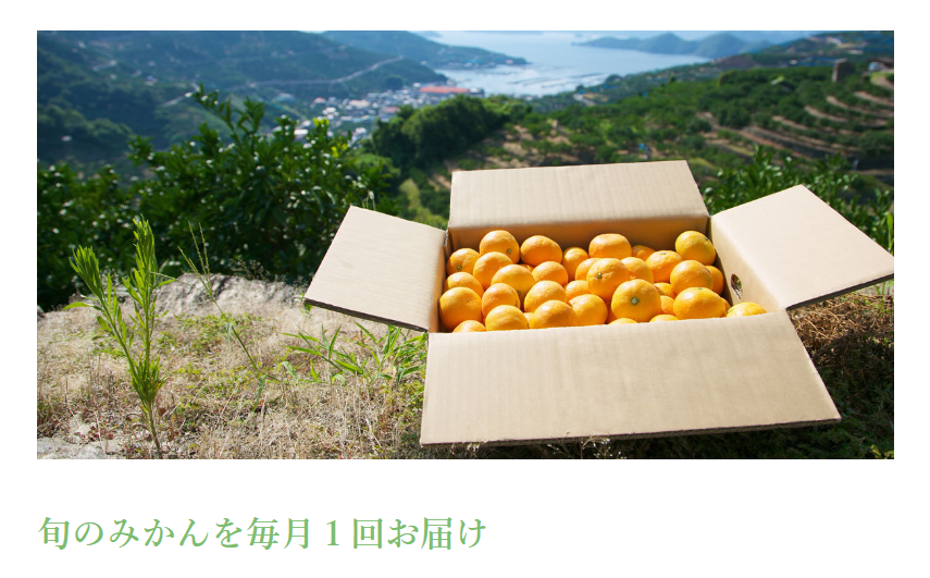 旬のみかんを毎月1回お届け