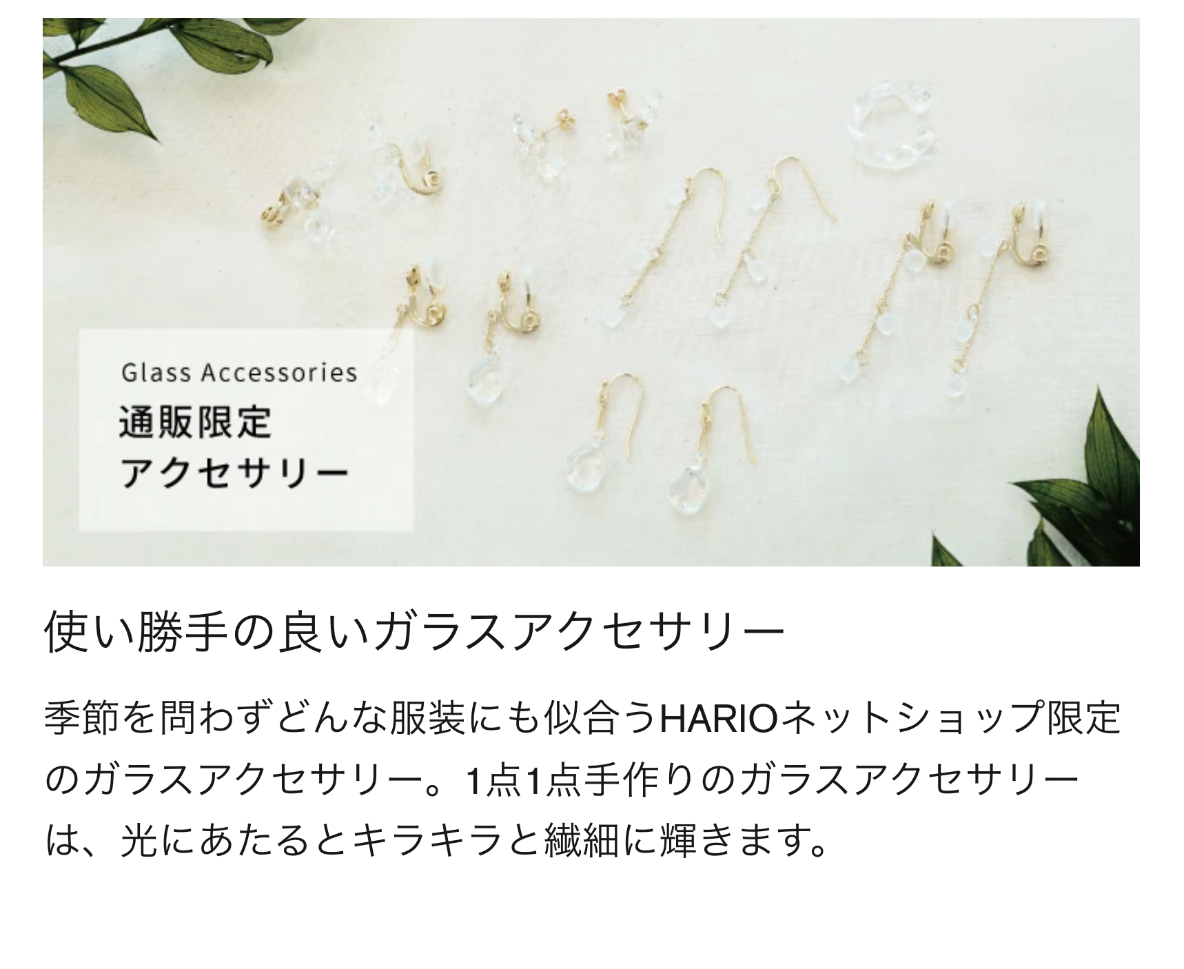 通販限定アクセサリー