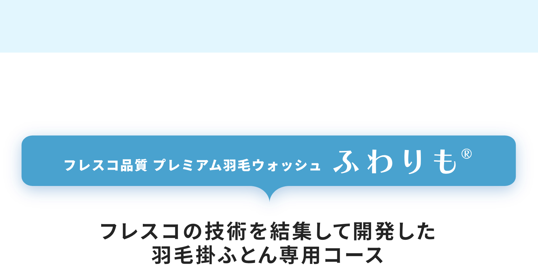 フレスコ品質プレミアム羽毛ウォッシュふわりも