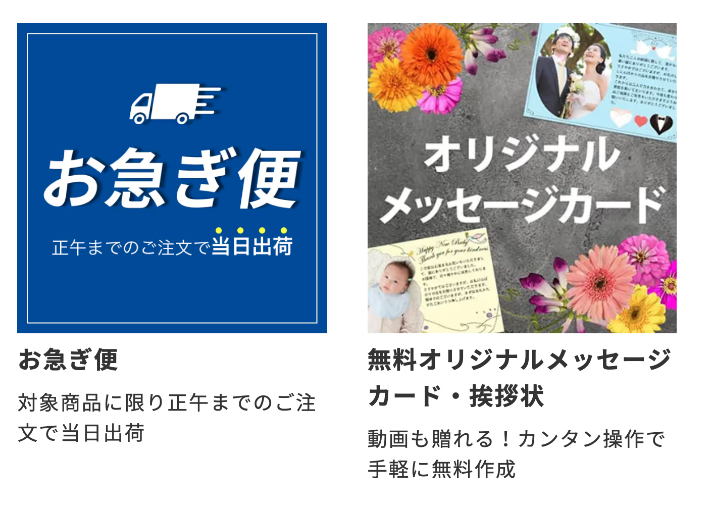 お急ぎ便