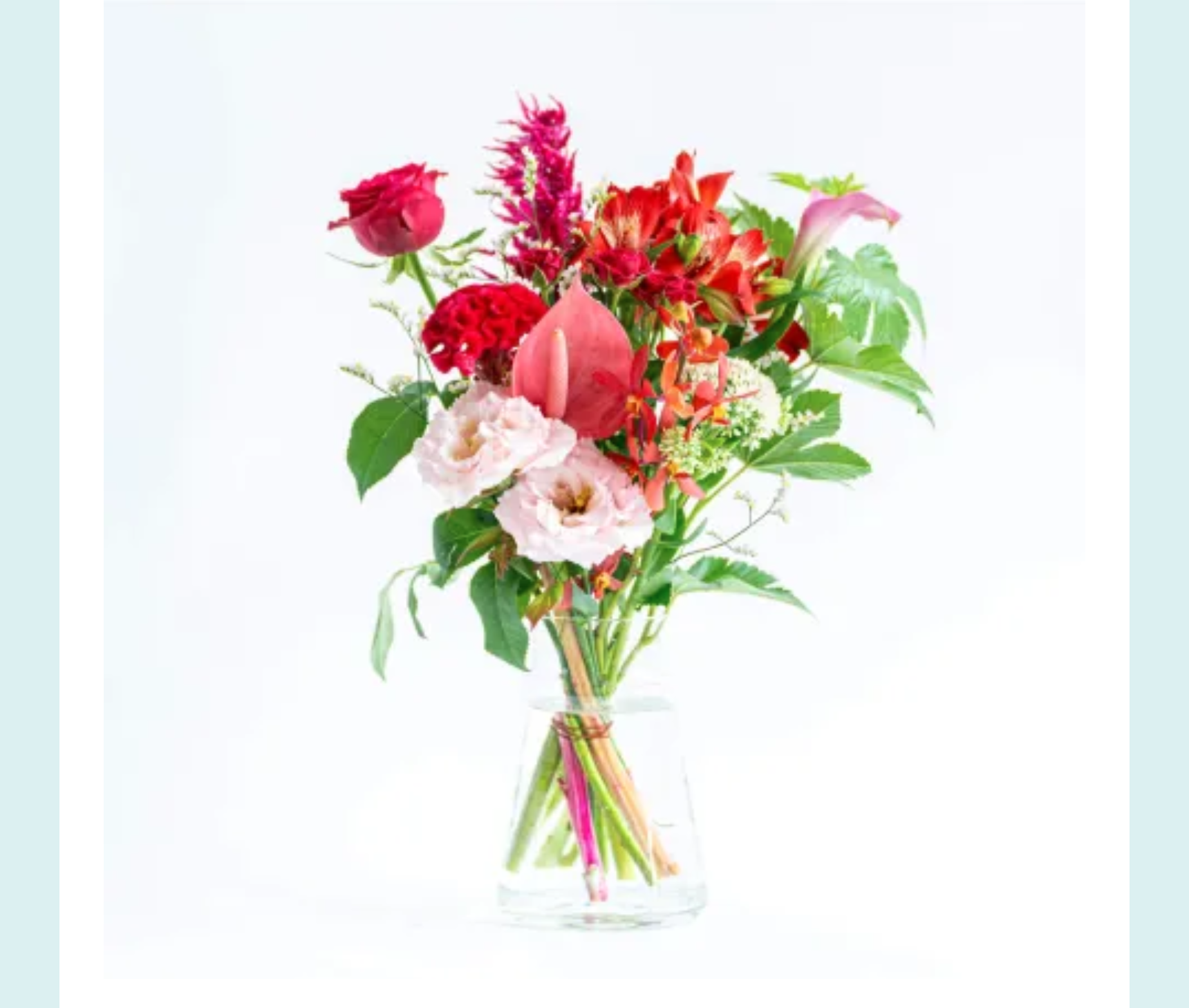 赤系の花のイメージ