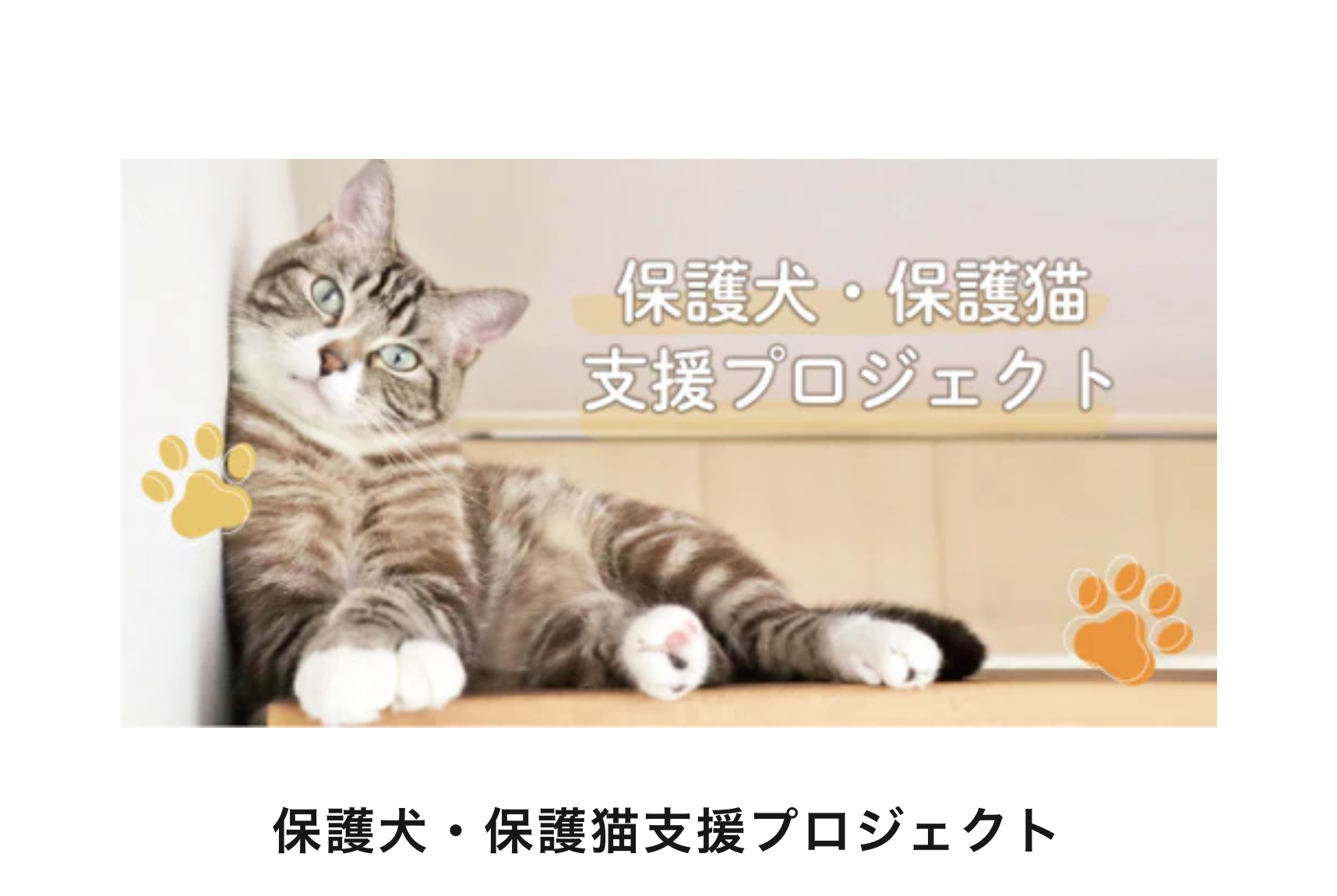 保護犬・保護猫支援プロジェクト