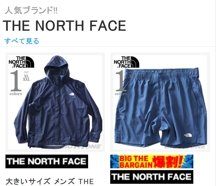 THE NORTH FACE