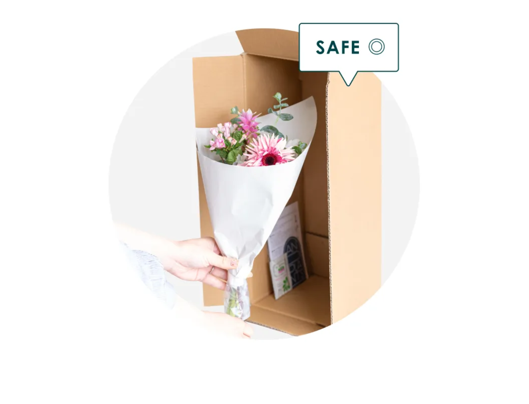 SAFE◎