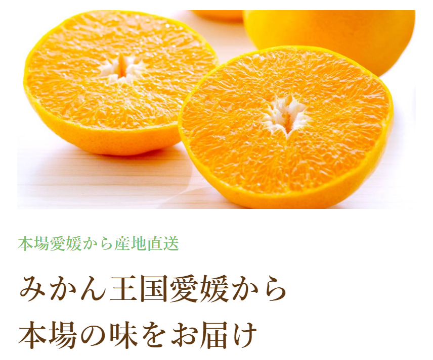 本場愛媛から産地直送-01