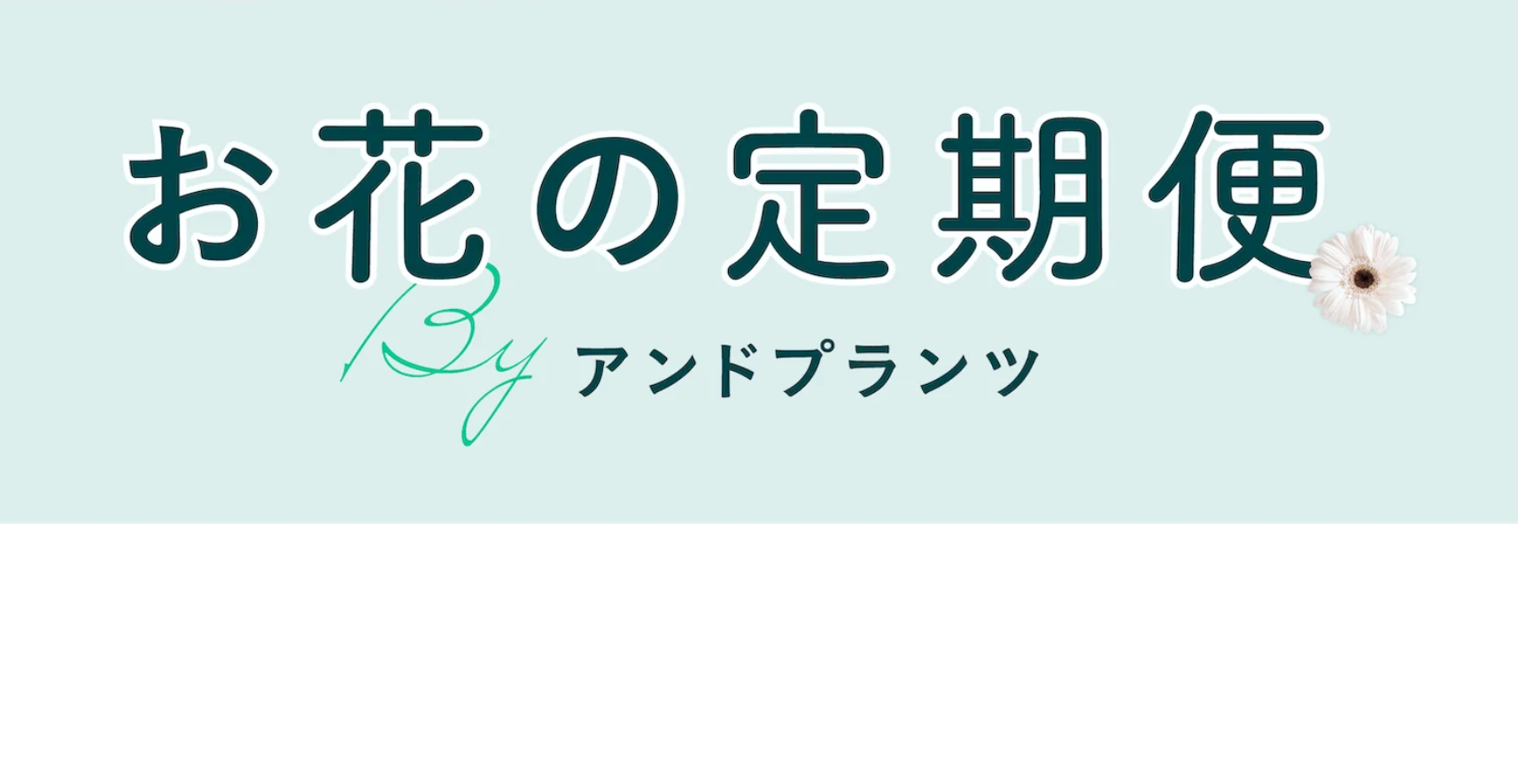お花の定期便BYアンドプランツ