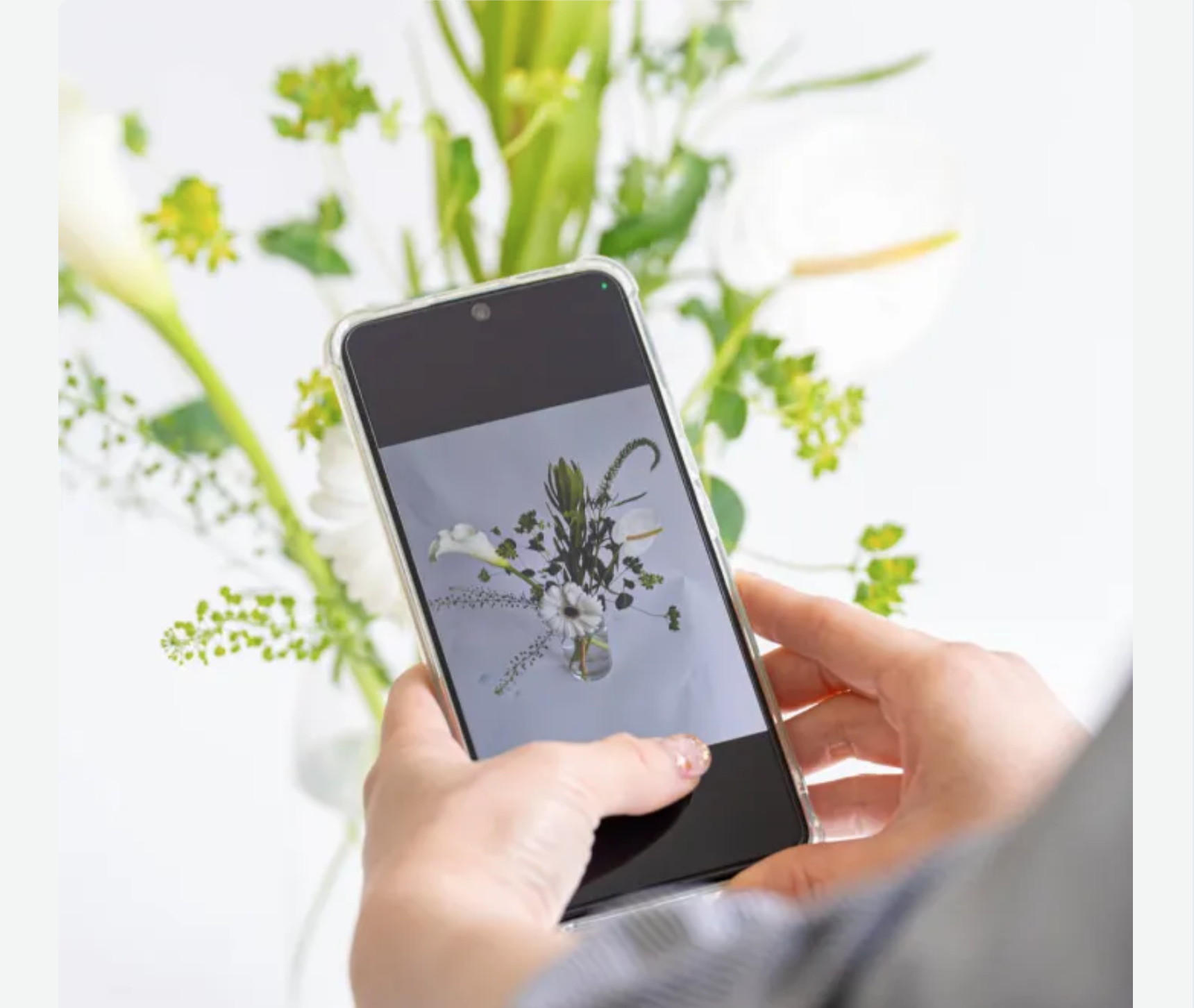 花をスマホの写真に撮っているイメージ