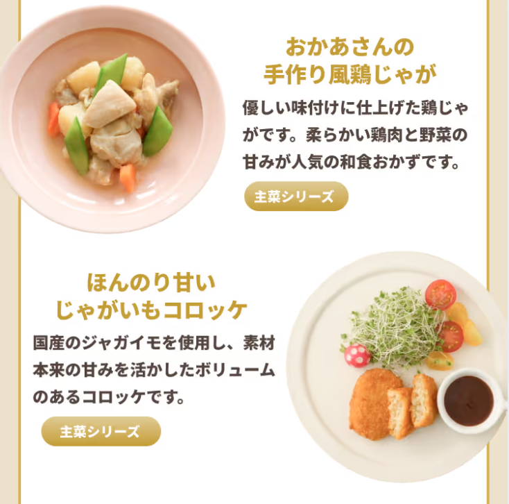 お母さんの手作り風鶏じゃが