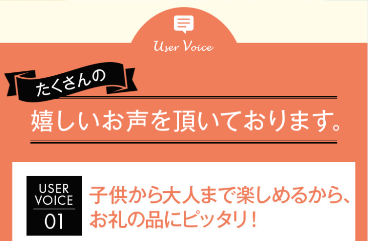 USER VOICE