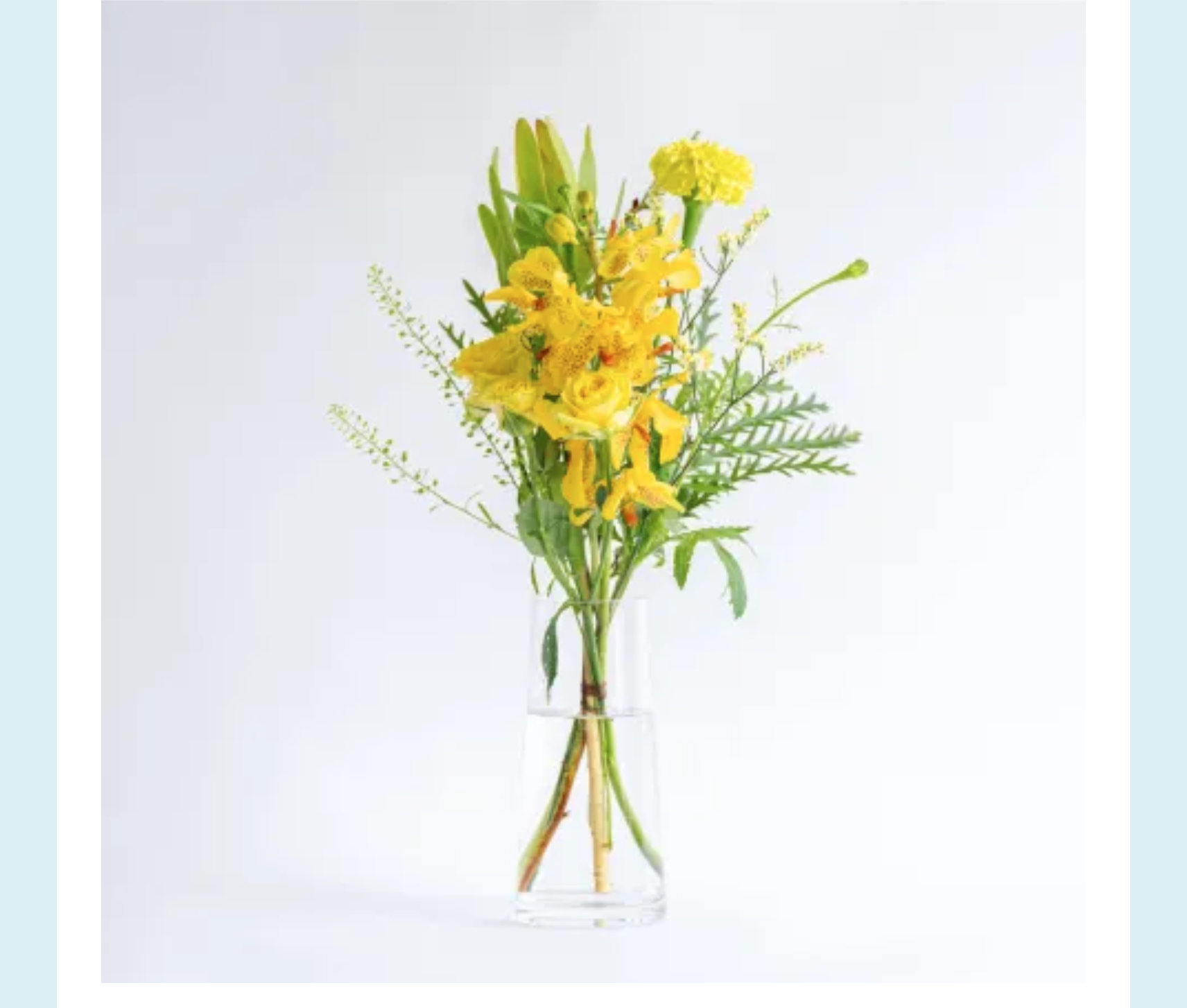 黄色系の花のイメージ