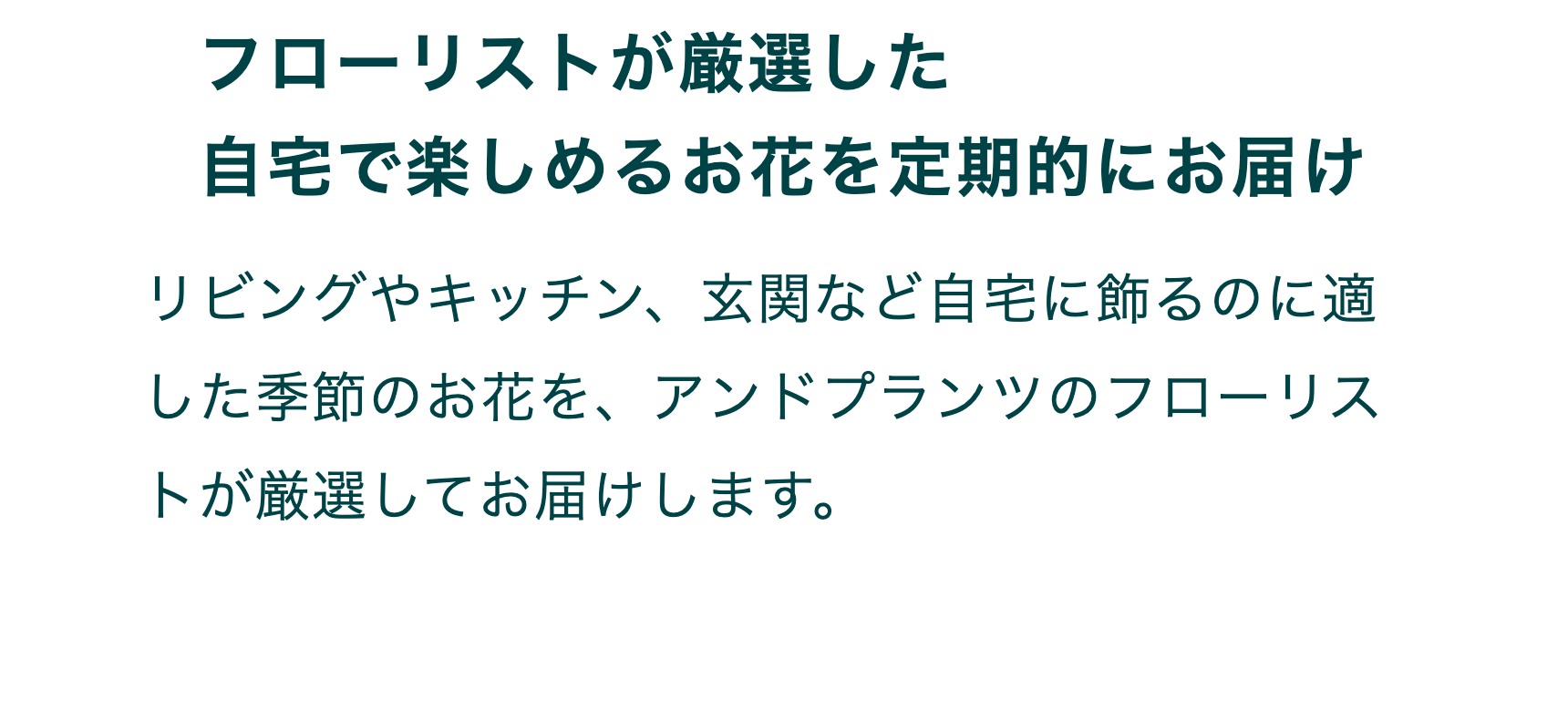 フローリストが厳選した自宅で楽しめるお花を定期的にお届け