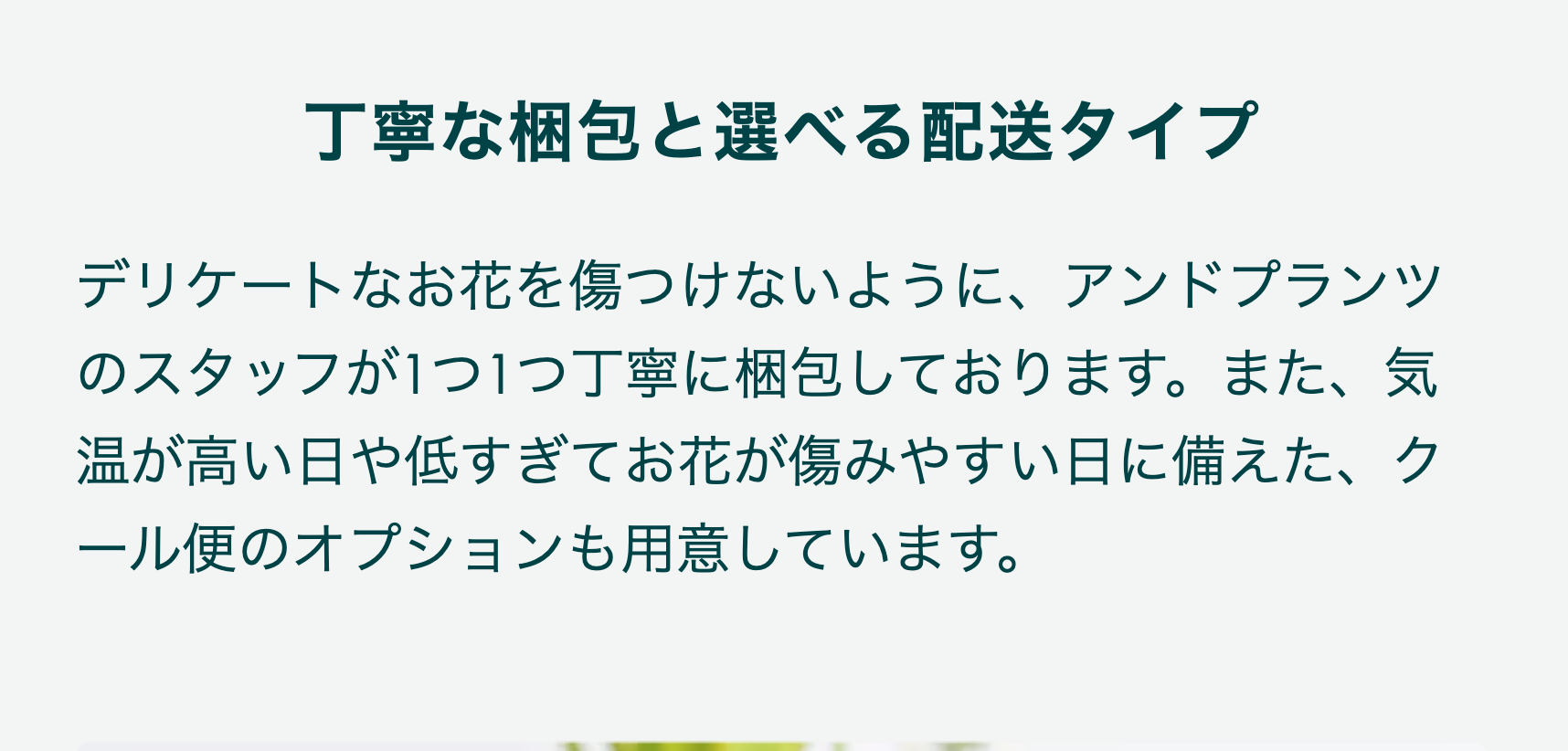 丁寧な梱包と選べる配送タイプ