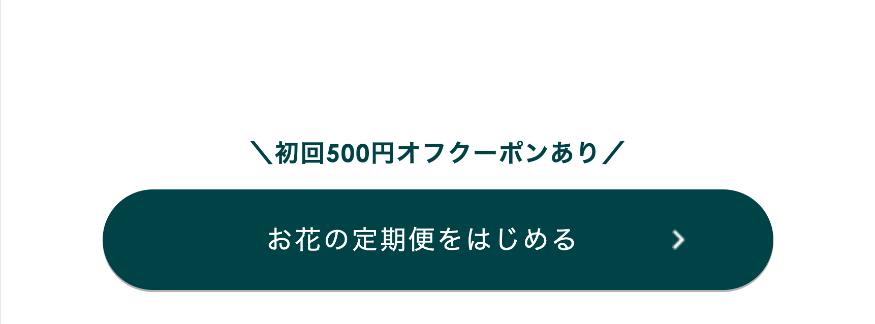 お花の定期便をはじめる