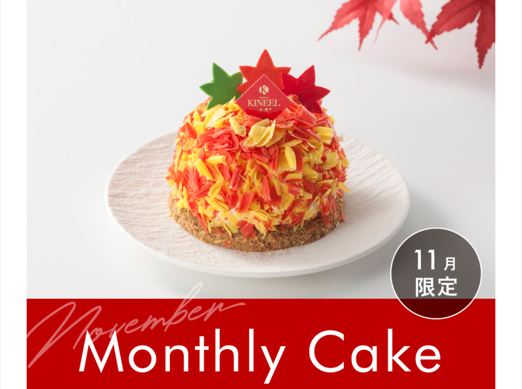 11月限定