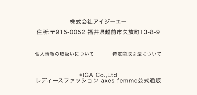 株式会社アイジーエー