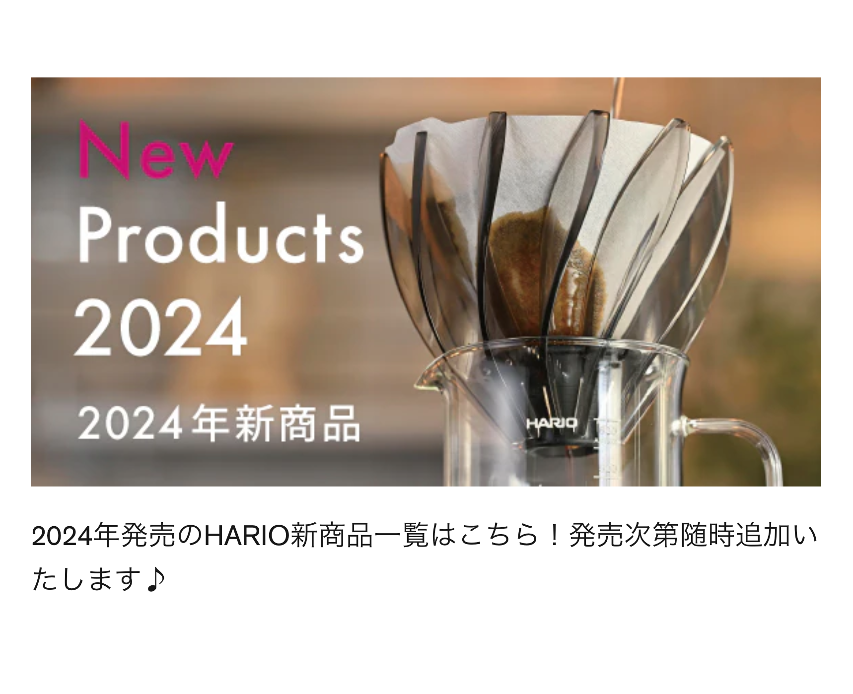New Products 2024