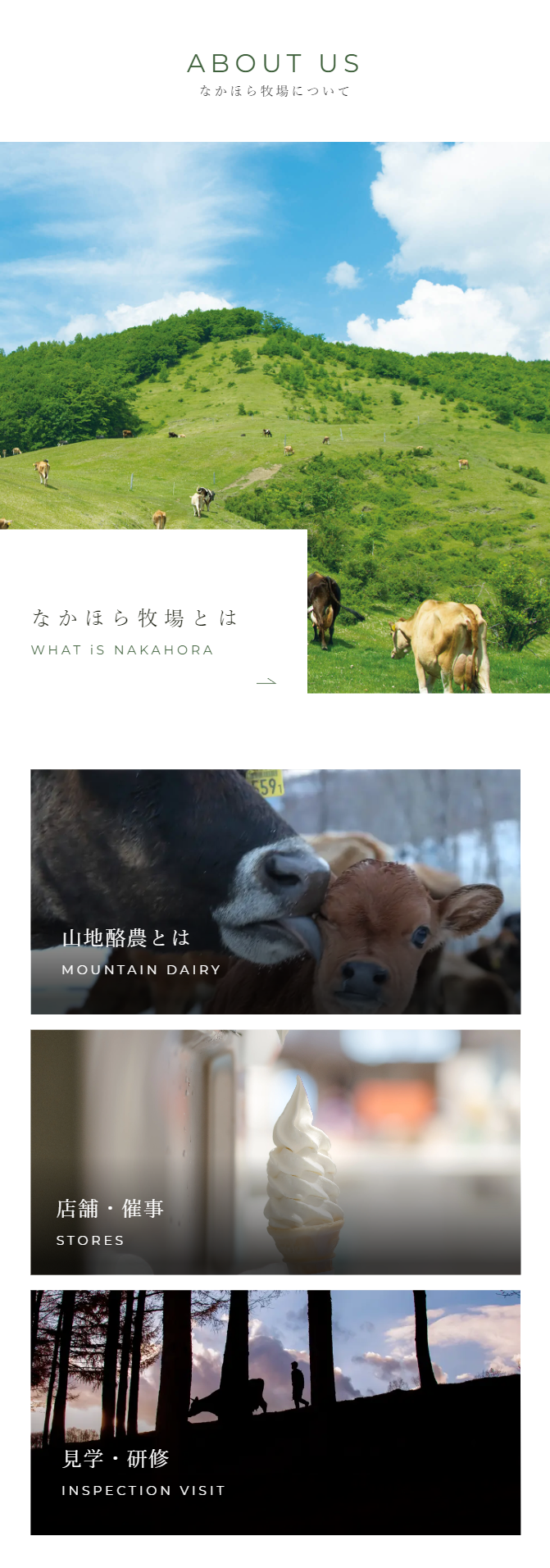ABOUT US