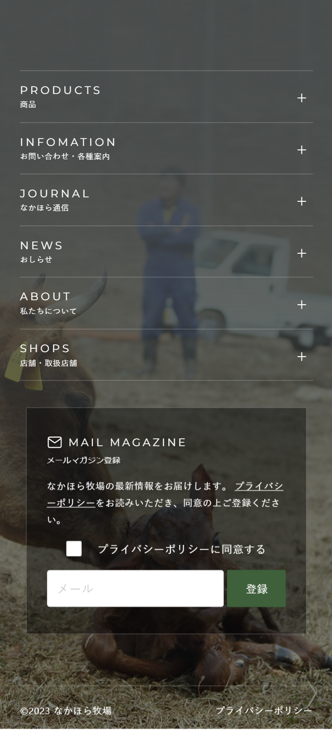 メールマガジン登録
