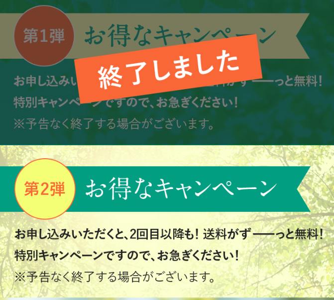 お得なキャンペーン