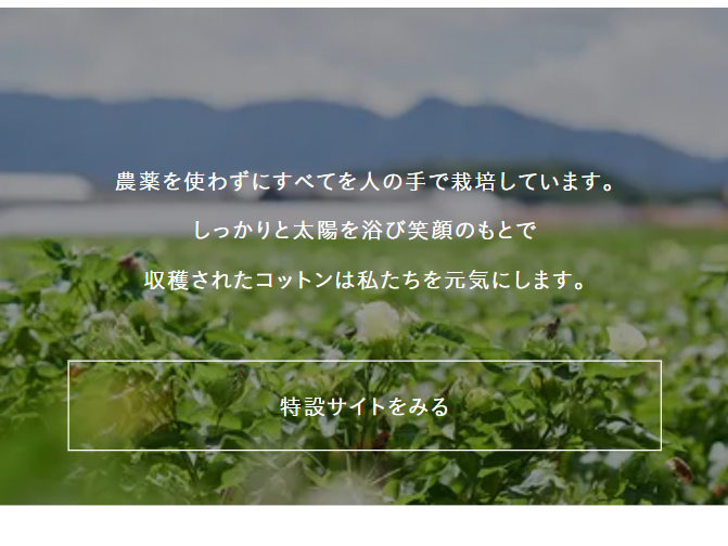 特設サイトをみる